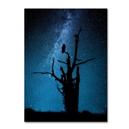 Manu Allicot 'Alone In The Dark' Canvas Art,18x24
